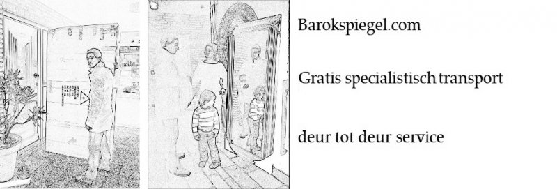 gratis-spiegel-vervoer-deur-tot-deur-service