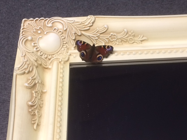botanisch-barok-spiegel-met-vlinder