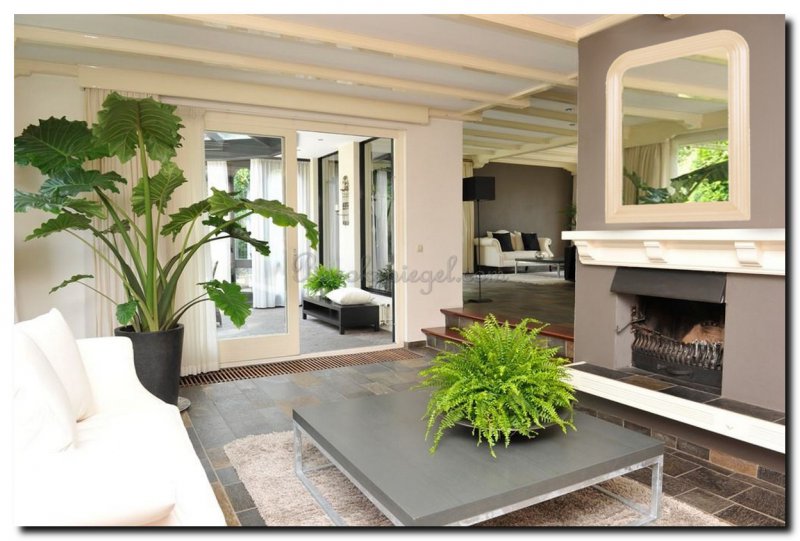 Spiegel keuze en kenmerken van een botanisch interieur - barokspiegel Spiegel keuze en kenmerken van een botanisch interieur - barokspiegel