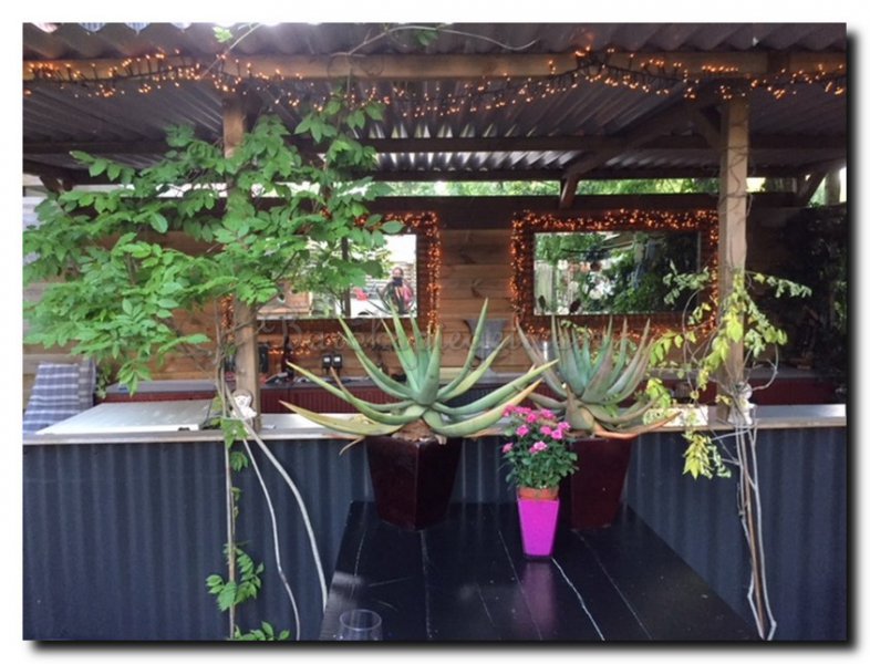 twee-grote-tuinspiegels-aan-een-houten-schutting