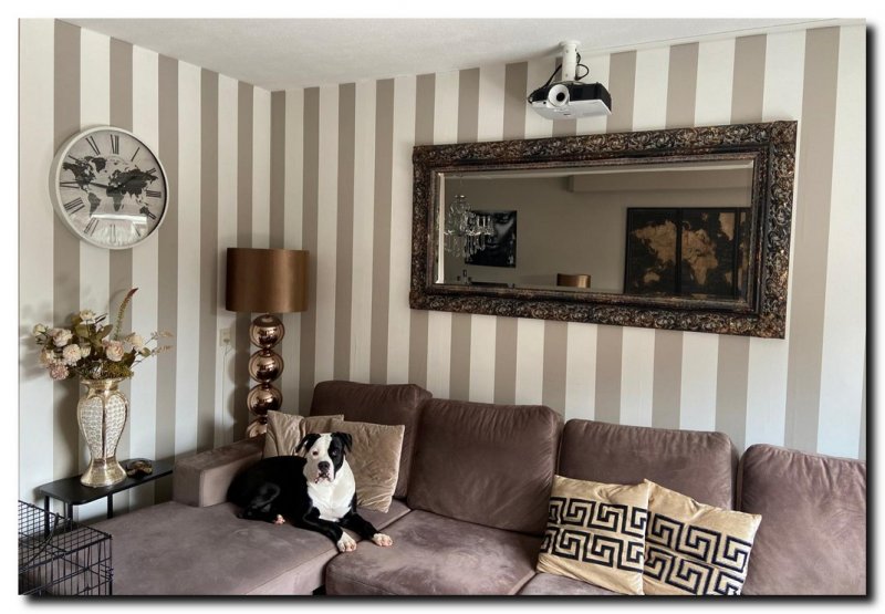 barok-spiegel-zwart-met-goud-de-zwart-mirrors-bove