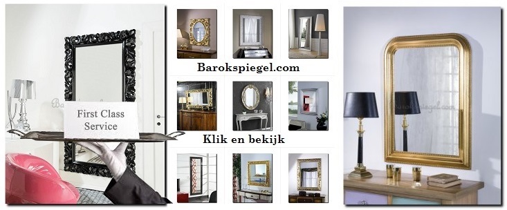 spiegel webshop spiegelwinkel online