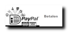 Betaalmogelijkheden barokspiegel