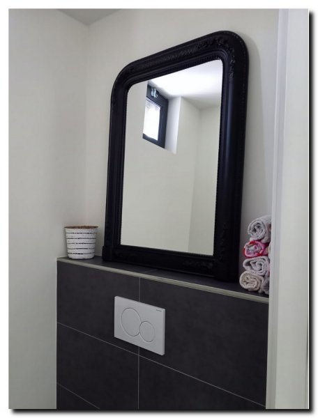 toogspiegel-zwarte-boogspiegel-zwart-in-toilet-rui