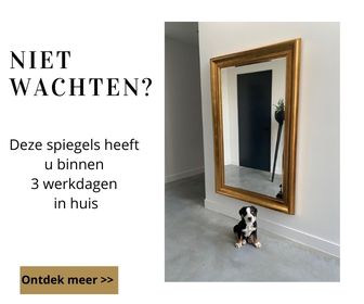 spiegels in voorraad barokspiegel