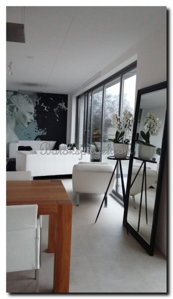 grote-spiegel-zwart-passpiegel-vloerspiegel-met-pa